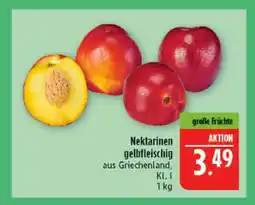 Marktkauf Nektarinen gelbfleischig Angebot
