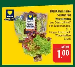 Marktkauf Edeka herzstücke salatrio mit wurzelballen Angebot