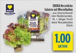 diska Edeka herzstücke salatrio mit wurzelballen Angebot
