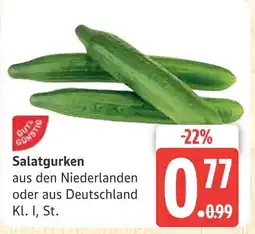 Marktkauf Salatgurken Angebot