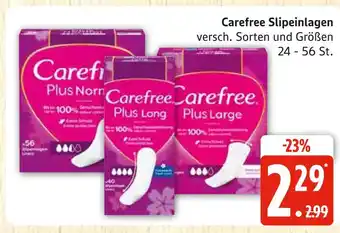 Marktkauf Carefree plus normal Angebot