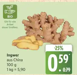 Marktkauf Ingwer Angebot