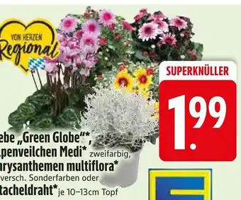 Edeka Silberdraht Angebot