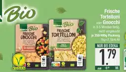 Edeka Frische tortelloni oder gnocchi Angebot