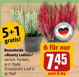 REWE Beauty ladies besenheide Angebot
