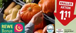 REWE Hokkaido kürbis Angebot