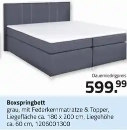 ROLLER Boxspringbett Angebot