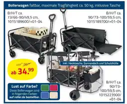 ROLLER Bollerwagen Angebot