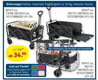 ROLLER Bollerwagen Angebot