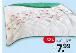 ROLLER Sommersteppbett Angebot