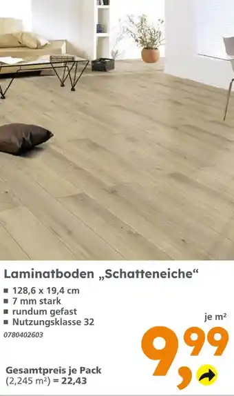 Globus Baumarkt Laminatboden 'schatteneiche' Angebot