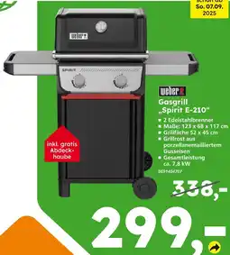 Globus Baumarkt Weber spirit e-210 gasgrill Angebot