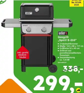 Globus Baumarkt Weber spirit e-210 gasgrill Angebot