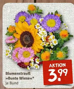 nahkauf Blumenstrauß bunte wiese Angebot