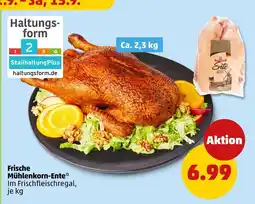 PENNY Frische mühlenkorn-ente Angebot