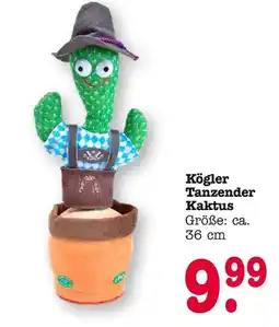 E-Center Kögler tanzender kaktus Angebot