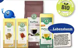 E-Center Lebensbaum ...lebensbaum Angebot