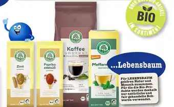 E-Center Lebensbaum ...lebensbaum Angebot