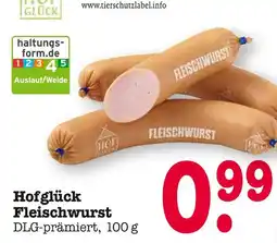 E-Center Hofglück fleischwurst Angebot