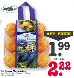E-Center Sanlucar mandarinen Angebot