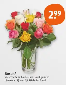 tegut Rosen Angebot