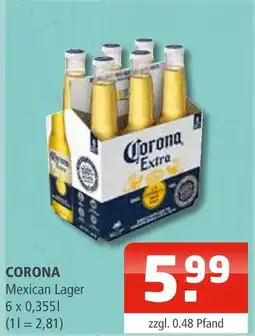 Getränke Oase Corona mexican lager Angebot
