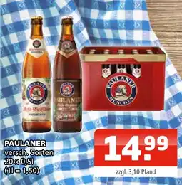 Getränke Oase Paulaner versch. sorten Angebot