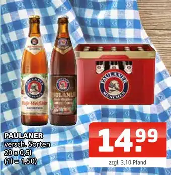 Getränke Oase Paulaner versch. sorten Angebot