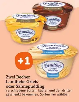 tegut Landliebe grießpudding Angebot