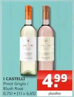 Getränke Oase I castelli pinot grigio Angebot