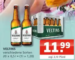 Getränke Oase Veltins verschiedene sorten Angebot