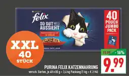 Marktkauf Purina felix katzennahrung Angebot