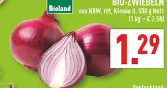 Marktkauf Bioland bio-zwiebeln Angebot