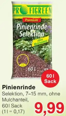 Wiglo Wunderland Pinienrinde Angebot