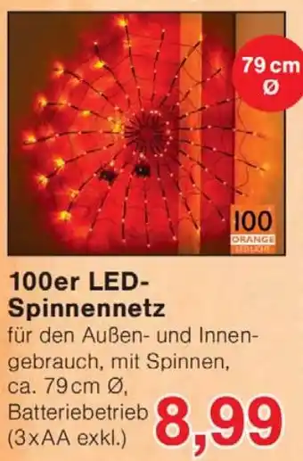 Wiglo Wunderland 100er LED Spinnennetz Angebot
