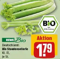 REWE Bio Staudensellerie Angebot