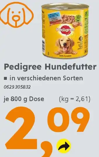 Globus Baumarkt Pedigree Hundefutter Angebot