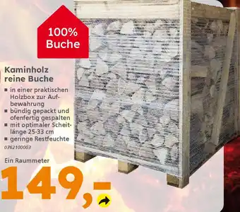 Globus Baumarkt Kaminholz reine Buche Angebot