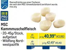 METRO MSC Kammmuschelfleisch Angebot