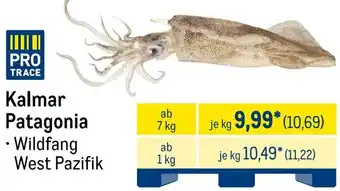 METRO Kalmar Patagonia Angebot