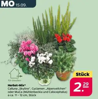 NETTO Herbst-Mix Angebot