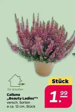 NETTO Calluna Beauty Ladies Angebot