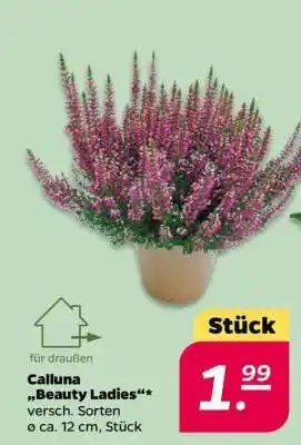 NETTO Calluna Beauty Ladies Angebot
