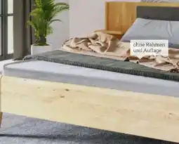 XXXLutz Linea Natura Bettanlage Angebot