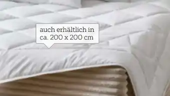 XXXLutz Sleeptex Ganzjahresbett Lizard Angebot