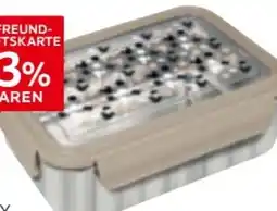 XXXLutz Disney Home Brotbox Mickey Mouse Angebot