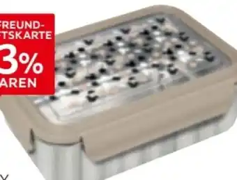 XXXLutz Disney Home Brotbox Mickey Mouse Angebot