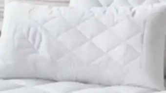 XXXLutz Sleeptex Kopfkissen Lizard Angebot