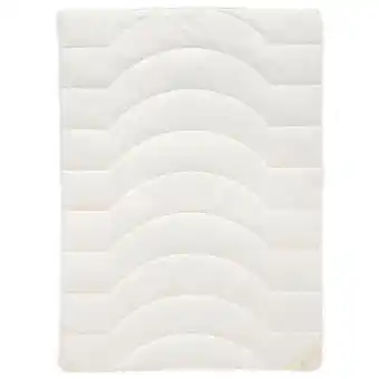 XXXLutz Bio Vio Winterbett Angebot