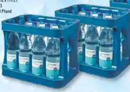 trinkgut Forstetal 600 Mineralwasser Angebot